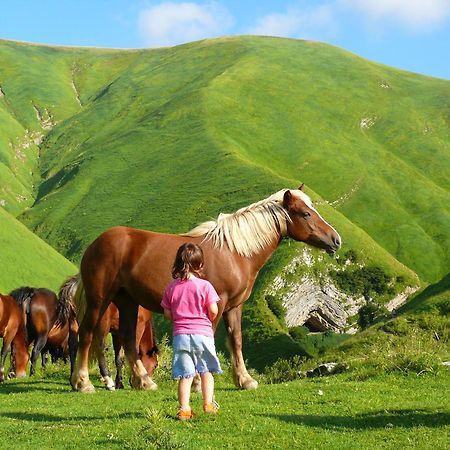 Agroturismo Mari Cruz Villanueva de Arce Eksteriør billede