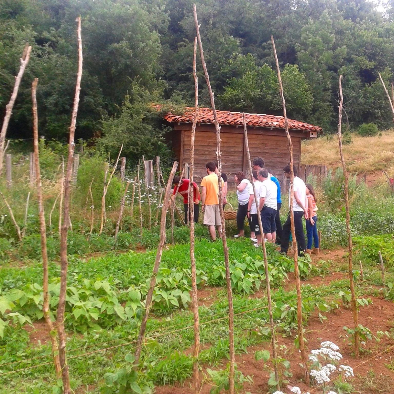 Agroturismo Mari Cruz Villanueva de Arce Eksteriør billede