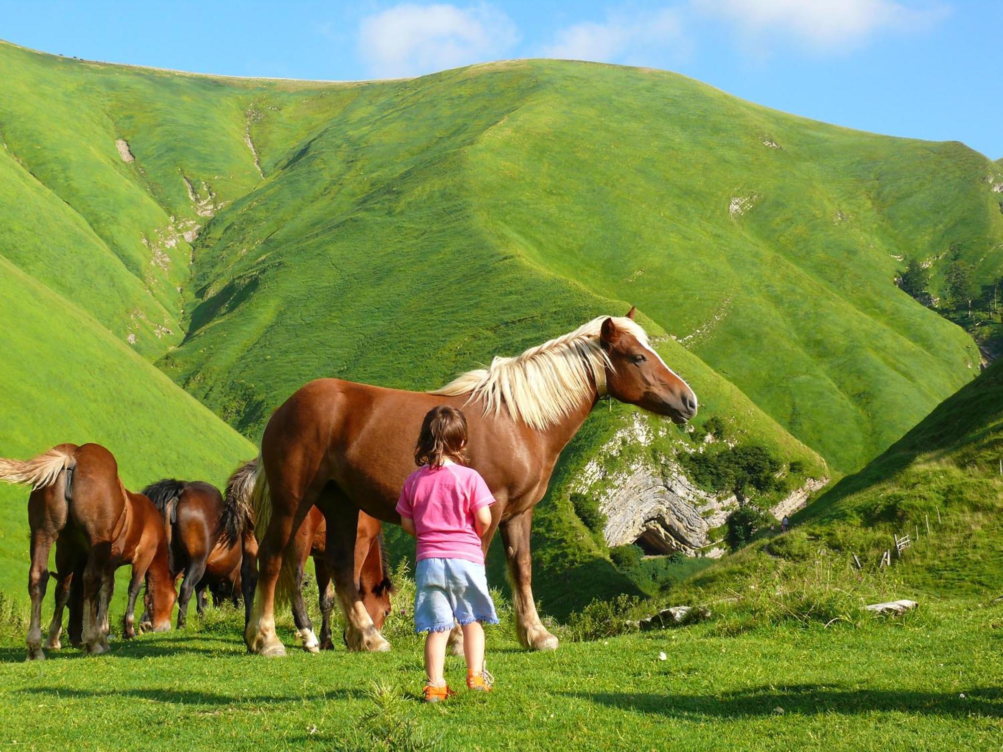 Agroturismo Mari Cruz Villanueva de Arce Eksteriør billede
