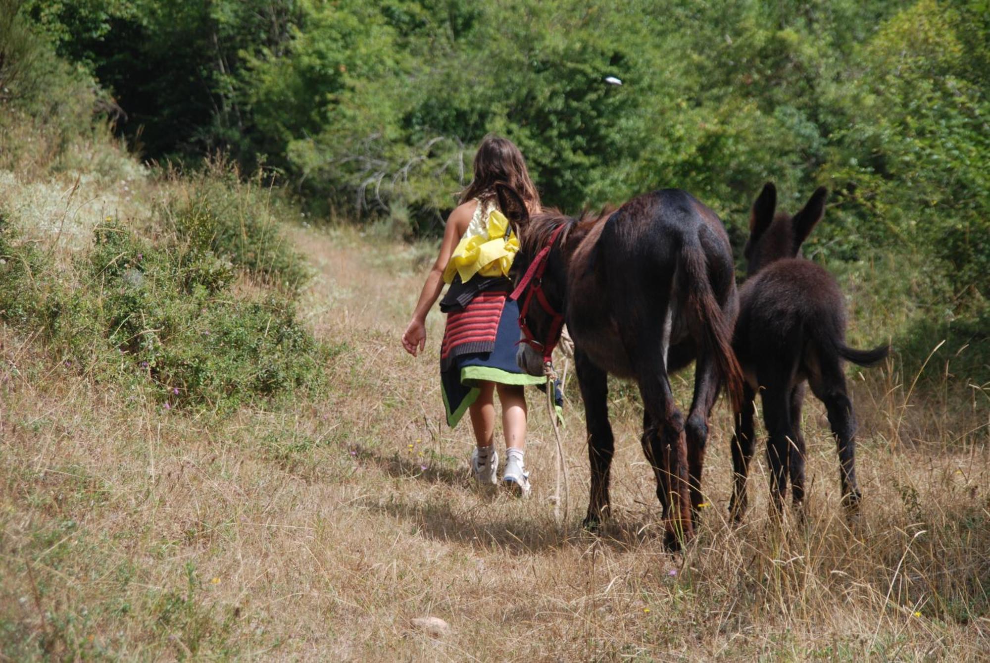 Agroturismo Mari Cruz Villanueva de Arce Eksteriør billede